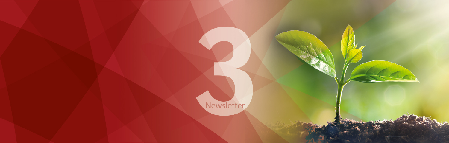 3rd Newsletter - Striving to achieve increasingly Sustainable Finance