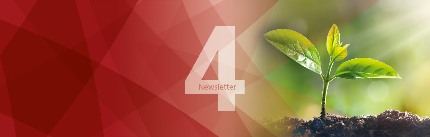 4th Newsletter - Sustainability of investments