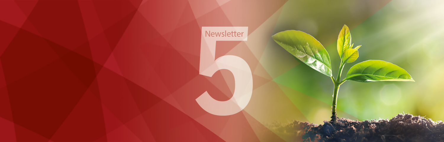 5a Newsletter - Sostenibilità degli Investimenti